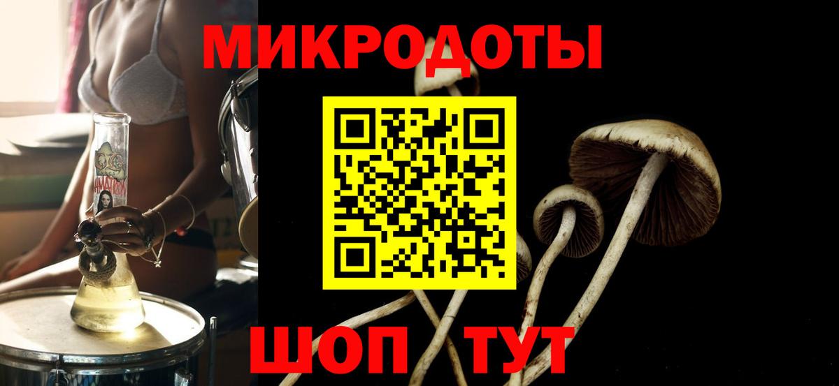 Щёлково  Галлюциногенные грибы Magic Shrooms  как найти закладки  Вход с VPN  Псилоцибиновые грибы мухоморы 